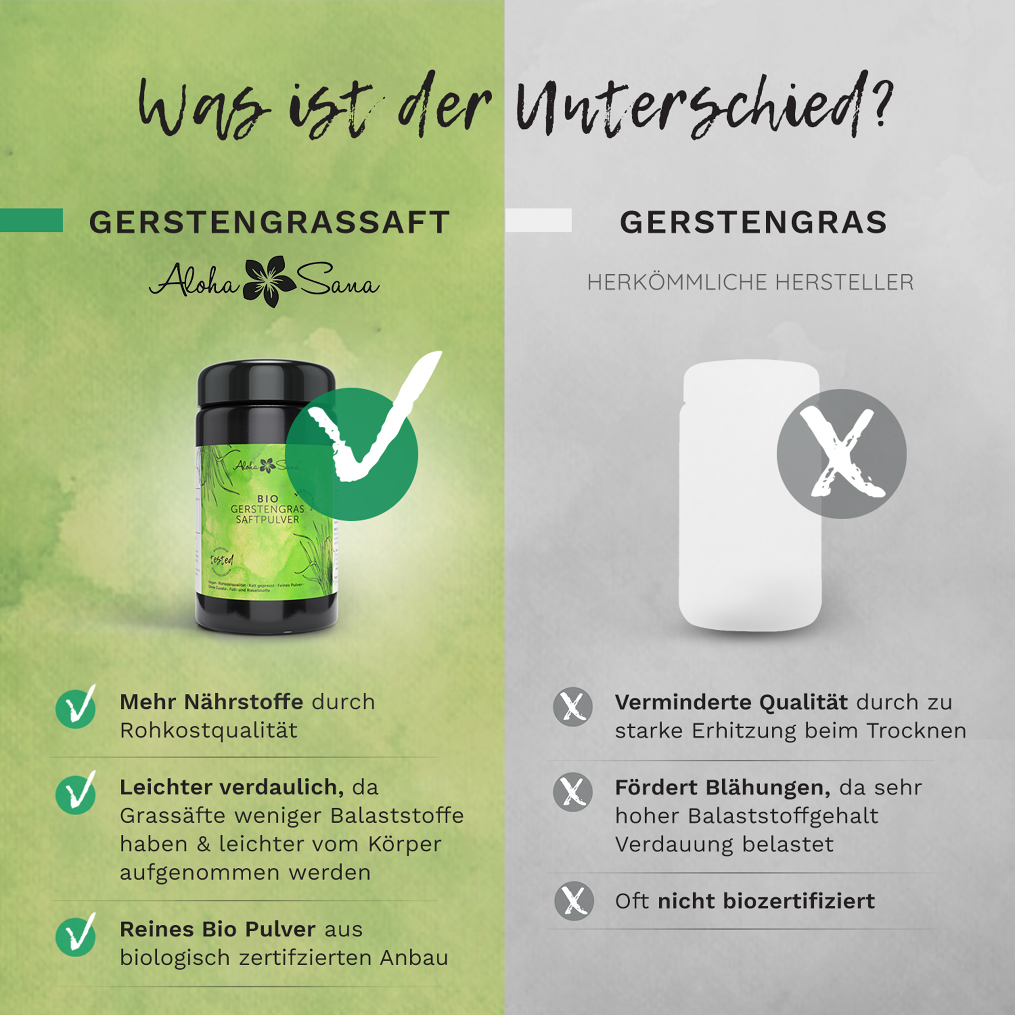 Bio Gerstengrassaft Pulver 110 g