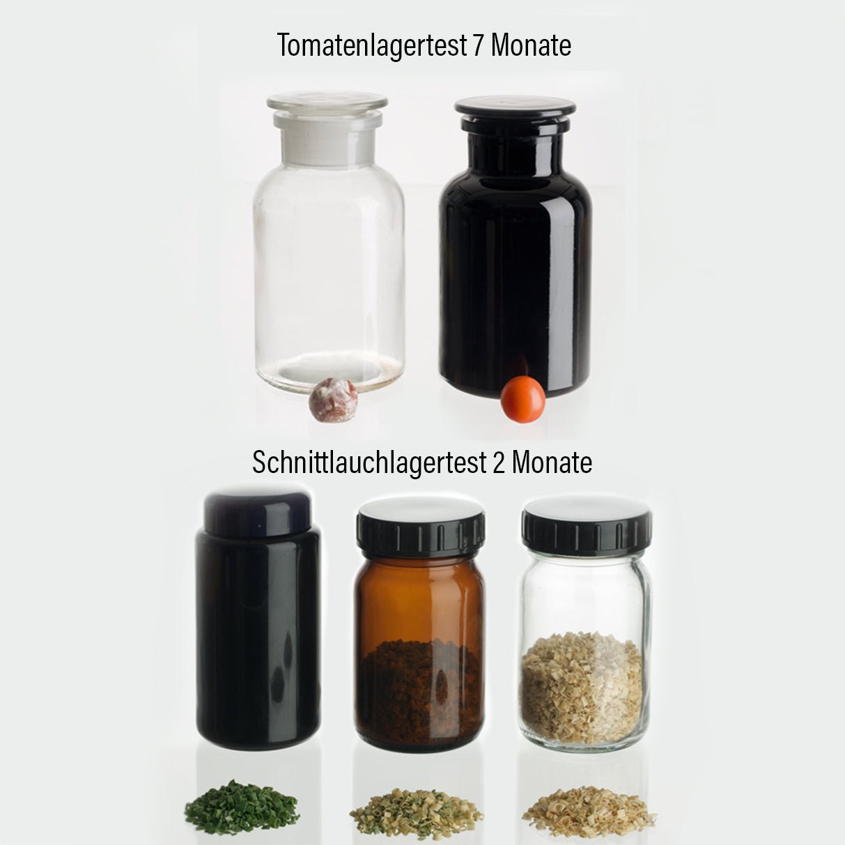 Bio Wilde Blaubeeren Pulver gefriergetrocknet 110g - Aloha Sana