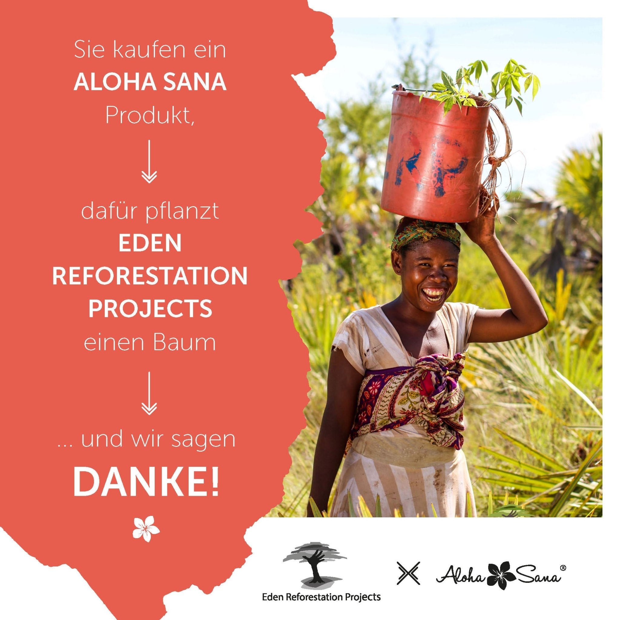 Bio Wilde Blaubeeren Pulver gefriergetrocknet 110g - Aloha Sana