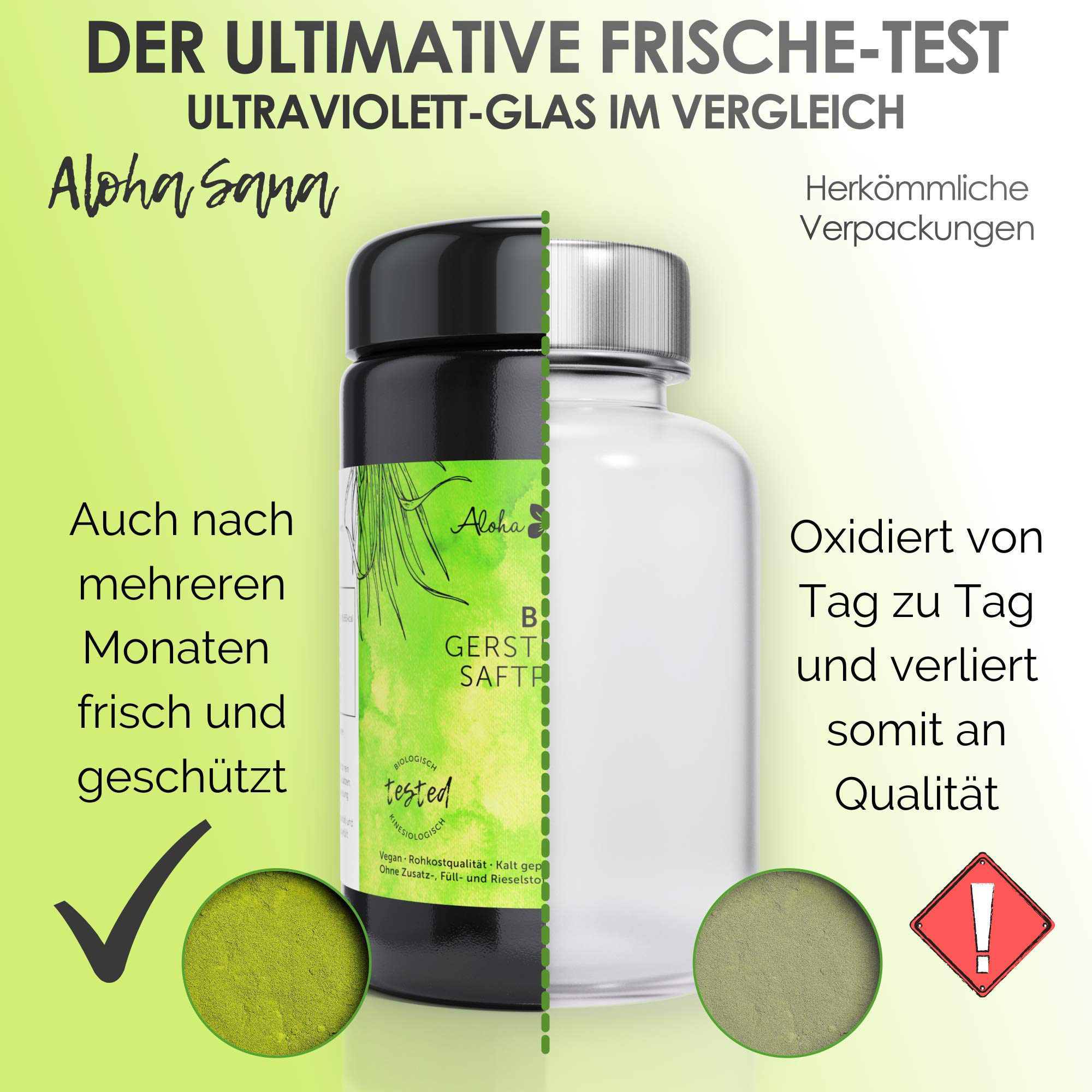 Bio Gerstengrassaft Pulver 110 g